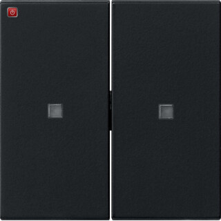 GIR5369005 / Wippe 2f unbedruckt Kontrollf. System 55 Schwarz m / EAN 4010337063629