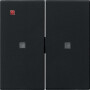 GIR5369005 / Wippe 2f unbedruckt Kontrollf. System 55 Schwarz m / EAN 4010337063629