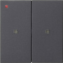 GIR536928 / Wippe 2f unbedruckt Kontrollf. System 55...