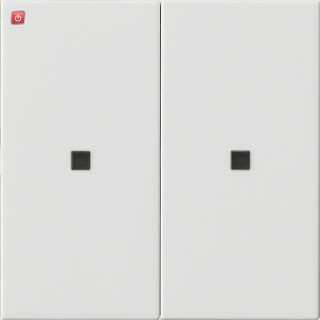 GIR536903 / Wippe 2f unbedruckt Kontrollf. System 55 Reinweiß / EAN 4010337460589