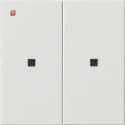 GIR536903 / Wippe 2f unbedruckt Kontrollf. System 55...