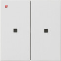 GIR536927 / Wippe 2f unbedruckt Kontrollf. System 55...