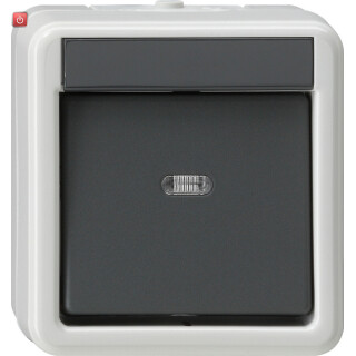 GIR10230 / Wippschalter Aus 2-p WG AP Grau / EAN 4010337102304