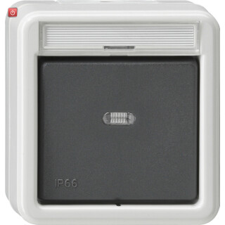 GIR10231 / Wippschalter Aus 2-p BSF WD AP Grau / EAN 4010337102311
