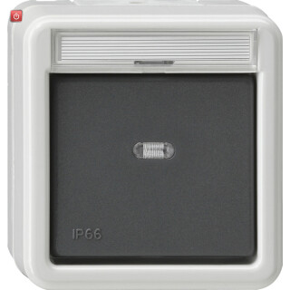 GIR10631 / Wippschalter AusWe BSF WD AP Grau / EAN 4010337106319