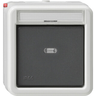 GIR11631 / Wipp-Kontroll AusWe BSF WD AP Grau / EAN 4010337116318
