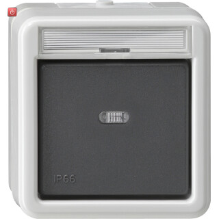 GIR15231 / Wipptaster Schließer sMK BSF WD AP Grau / EAN 4010337152316