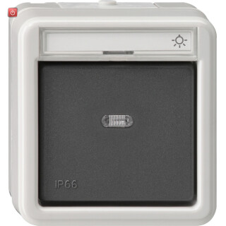 GIR15631 / Wipptaster Wechsler Aufputz WD grau / EAN 4010337156314