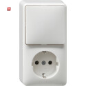 GIR17613 / SCHUKO/Wechselschalter Aufputz reinweiss / EAN...