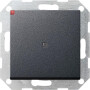 GIR12428 / Tast-Kontroll AusWe gerade System 55 Anthrazit / EAN 4010337029427