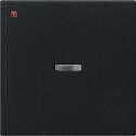 GIR290005 / Wippe Kontrollf. System 55 Schwarz m / EAN...