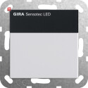 GIR2378005 / Sensotec LED o.Fernbedienung System 55...