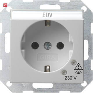 GIR451015 / SCHUKO ÜSS + BSF System 55 Grau m / EAN 4010337080978