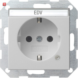 GIR452015 / SCHUKO Kontroll + BSF System 55 Grau m / EAN 4010337080985