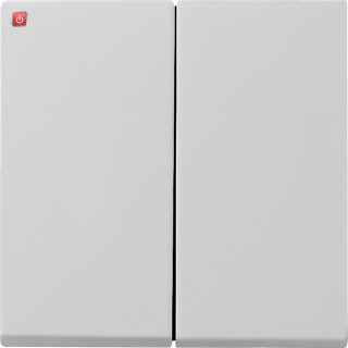 GIR266015 / Wippe 2f + Set IP44 Standard 55, Gira E2 Grau m / EAN 4010337078418