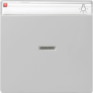 GIR670015 / Wippe Kontrollf. + BSF System 55 Grau m / EAN 4010337081708