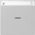 GIR670015 / Wippe Kontrollf. + BSF System 55 Grau m / EAN...