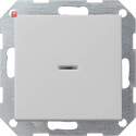GIR136015 / Tast-Kontroll AusWe System 55 Grau m / EAN...