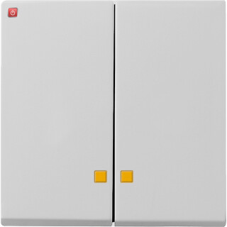 GIR631015 / Wippe 2f Kontrollf. System 55 Grau m / EAN 4010337081197