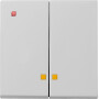 GIR631015 / Wippe 2f Kontrollf. System 55 Grau m / EAN 4010337081197