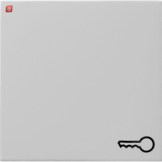 GIR287015 / Wippe Symb. Tür System 55 Grau m / EAN 4010337079637