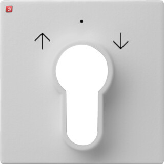 GIR664015 / Abd. Schlüsselschalter/-taster System 55 Grau m / EAN 4010337081234