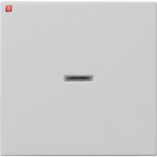 GIR290015 / Wippe Kontrollf. System 55 Grau m / EAN 4010337079996
