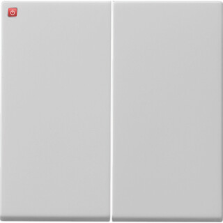 GIR915015 / Wippe 2f Tastschalter System 55 Grau m / EAN 4010337082255