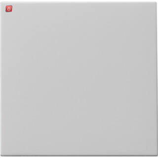GIR916015 / Wippe Tastschalter System 55 Grau m / EAN 4010337082392