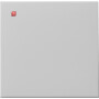 GIR916015 / Wippe Tastschalter System 55 Grau m / EAN 4010337082392