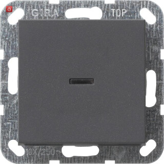 GIR12228 / Tast-Kontroll Aus 2-p System 55 Anthrazit / EAN 4010337122289