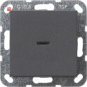 GIR12228 / Tast-Kontroll Aus 2-p System 55 Anthrazit /...