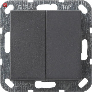 GIR12528 / Tastschalter Serien System 55 Anthrazit / EAN 4010337125280