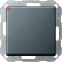 GIR12628 / Tastschalter AusWe System 55 Anthrazit / EAN 4010337126287