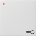 GIR28727 / Wippe Symb. Tür System 55 Reinweiß...