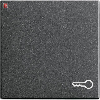 GIR28728 / Wippe Symb. Tür System 55 Anthrazit / EAN 4010337287285