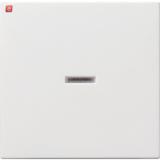 GIR29027 / Wippe Kontrollf. System 55 Reinweiß m / EAN 4010337290278