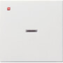 GIR29027 / Wippe Kontrollf. System 55 Reinweiß m / EAN 4010337290278