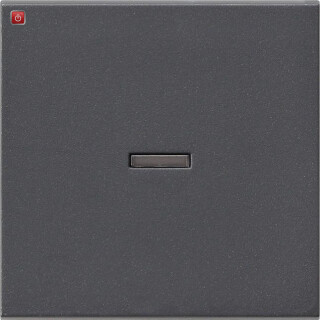 GIR29028 / Wippe Kontrollf. System 55 Anthrazit / EAN 4010337290285