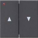 GIR29428 / Wippe 2f Pfeil System 55 Anthrazit / EAN...
