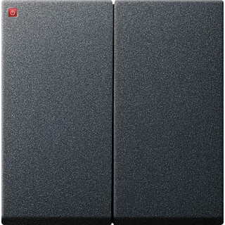 GIR29528 / Wippe 2f System 55 Anthrazit / EAN 4010337295280