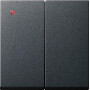 GIR29528 / Wippe 2f System 55 Anthrazit / EAN 4010337295280