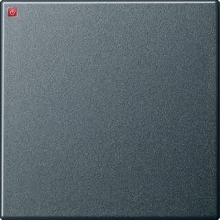 GIR29628 / Wippe Wechselschalter, System 55 anthrazit, 029628 / EAN 4010337296287