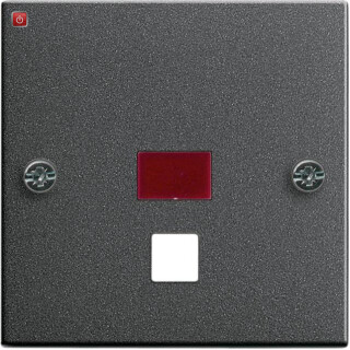 GIR63828 / Abd. Kontrollf. groß Zugschalter/-taster System 55 Anthrazit / EAN 4010337638285