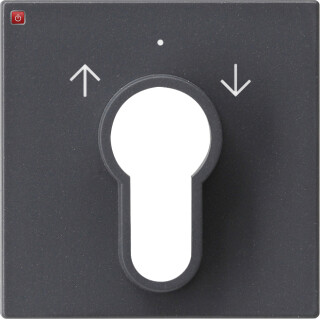 GIR66428 / Abd. Schlüsselschalter/-taster System 55 Anthrazit / EAN 4010337664284