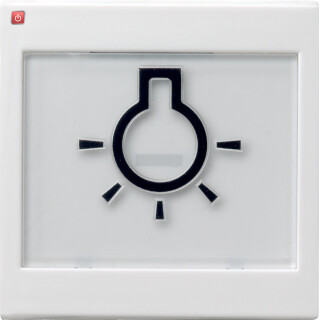 GIR21627 / Wippe BSF + Symb. Licht groß tastbar System 55 Reinweiß m / EAN 4010337216278