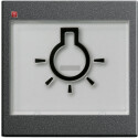GIR21628 / Wippe BSF + Symb. Licht groß tastbar...