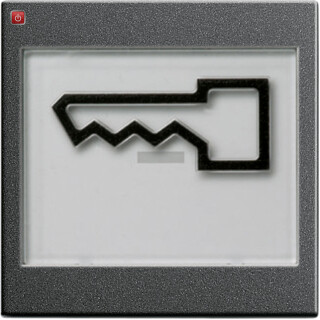 GIR21828 / Wippe BSF + Symb. Tür groß tastbar System 55 Anthrazit / EAN 4010337218289