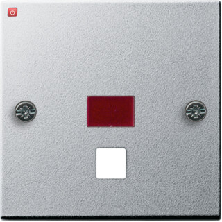 GIR63826 / Abd. Kontrollf. groß Zugschalter/-taster System 55 F Alu / EAN 4010337638261