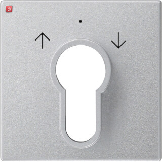 GIR66426 / Abd. Schlüsselschalter/-taster System 55 F Alu / EAN 4010337664260